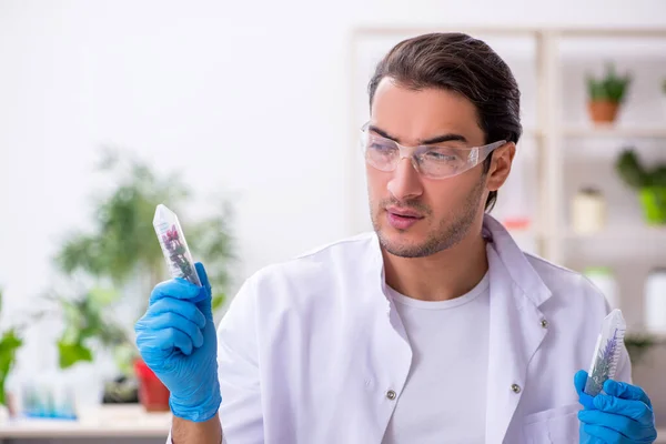 Jovem químico do sexo masculino que trabalha no laboratório — Fotografia de Stock