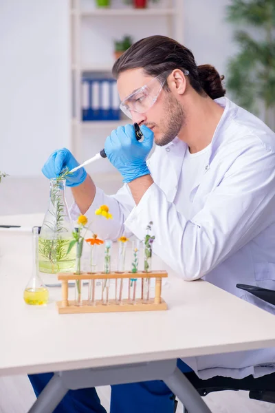 Jovem químico do sexo masculino que trabalha no laboratório — Fotografia de Stock