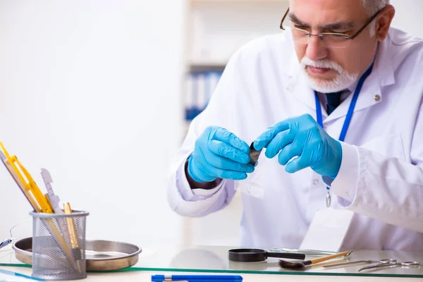 Oude mannelijke expert criminoloog werkt in het lab voor bewijs — Stockfoto