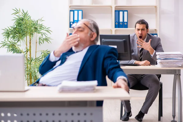 Två manliga anställda som arbetar på kontoret — Stockfoto