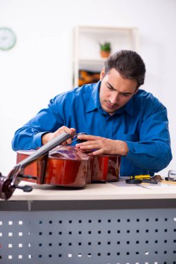 Genç erkek çello tamircisi.