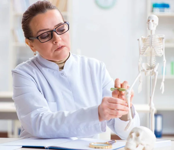 Ärztin untersucht menschliches Skelett — Stockfoto