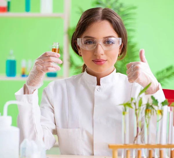 Belle femme scientifique en biotechnologie chimiste travaillant en laboratoire — Photo