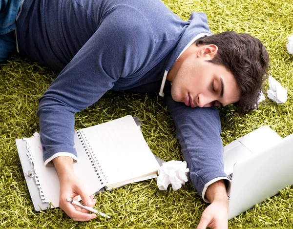 stock image Handsome student working at startup project at home