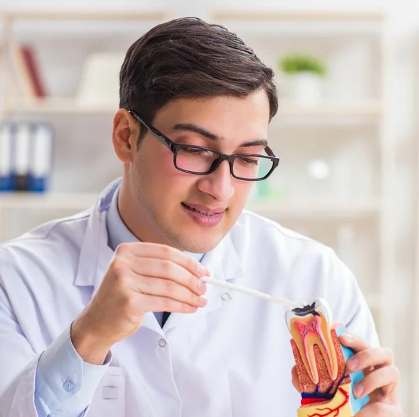 Young dentist working in the dentistry hospital — Stock Photo, Image