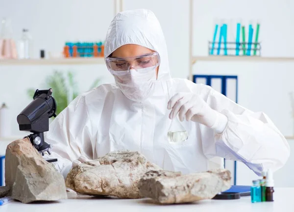 Ricercatore alla ricerca e campioni di pietra in laboratorio — Foto Stock