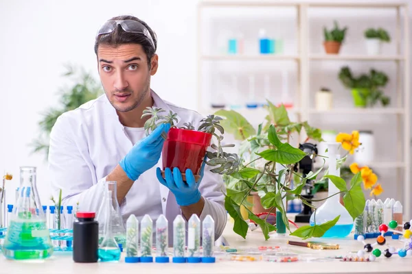 Joven químico masculino trabajando en el laboratorio —  Fotos de Stock