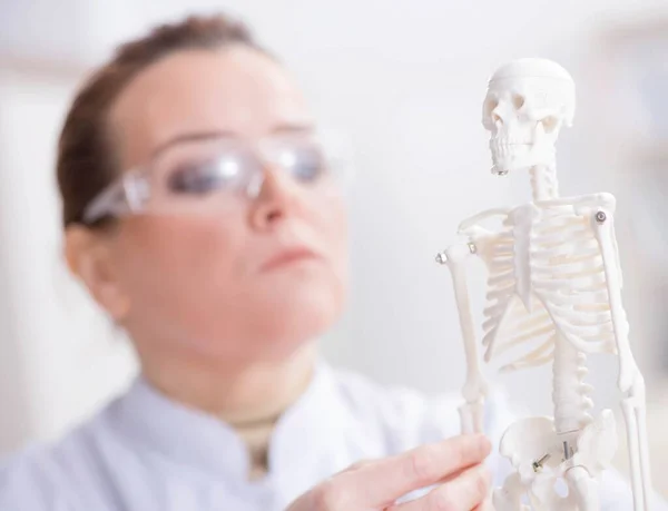 Mulher médico estudando esqueleto humano — Fotografia de Stock