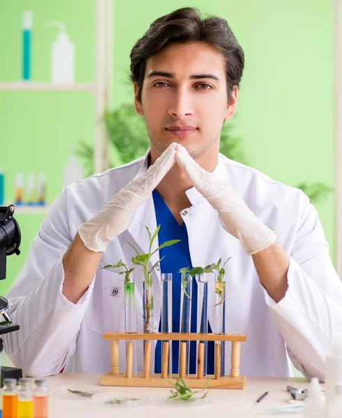 Ung bioteknisk forskare kemist som arbetar i labb — Stockfoto