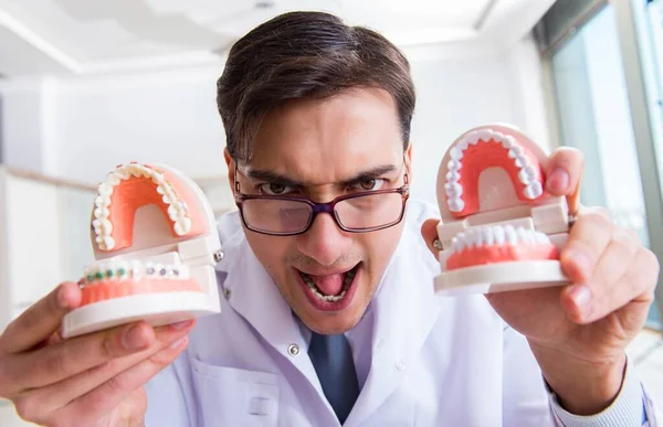 Hastanede diş modelli komik bir dişçi var. — Stok fotoğraf