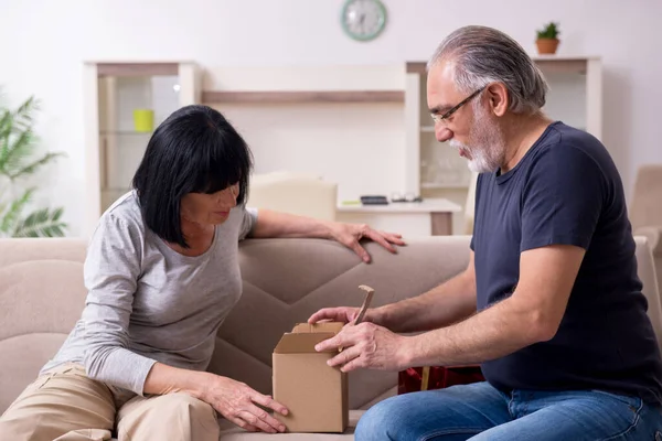 Vecchia coppia che fa shopping online — Foto Stock