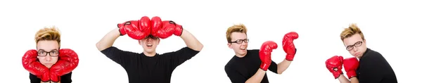 Lustige Boxer isoliert auf weißem Hintergrund — Stockfoto