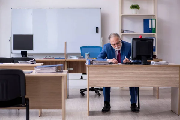 Starý šéf zaměstnanec pracující v kanceláři — Stock fotografie