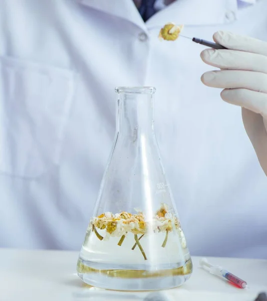 Químico misturando perfumes no laboratório — Fotografia de Stock