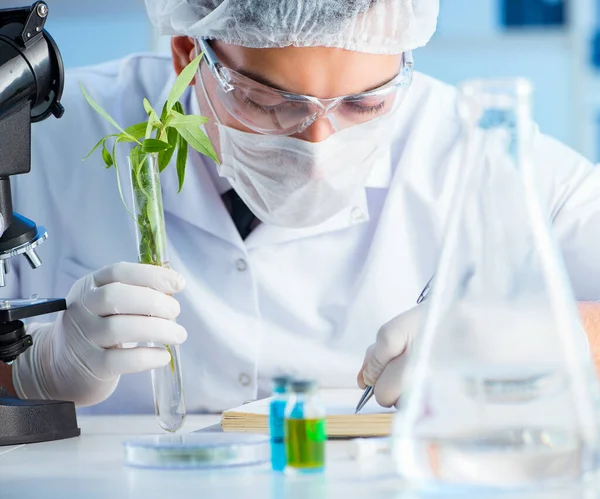 Conceito de biotecnologia com cientista em laboratório — Fotografia de Stock