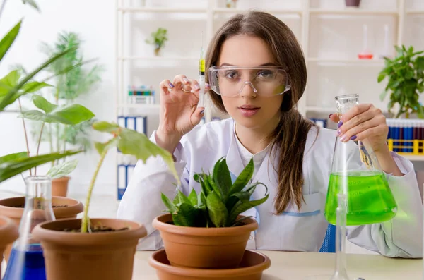 Joven química biotecnológica hermosa trabajando en el laboratorio — Foto de Stock