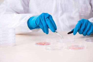 Laboratuvarda çalışan genç bir kimyager.