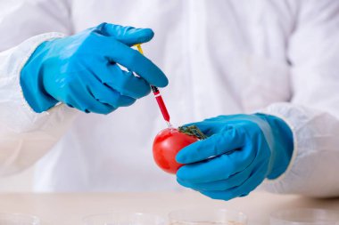 Erkek beslenme uzmanı gıda ürünlerini laboratuarda test ediyor.