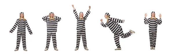 Gevangene geïsoleerd op de witte achtergrond — Stockfoto