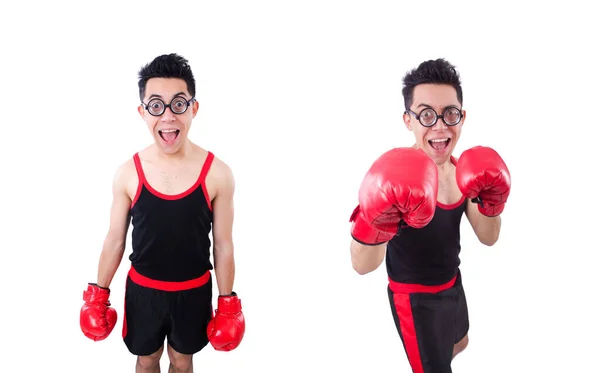 Funny boxer izolované na bílém pozadí — Stock fotografie