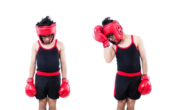 Grappige bokser geïsoleerd op de witte achtergrond — Stockfoto