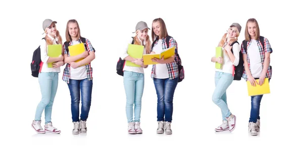 Pair of young students on white — Stock Photo, Image