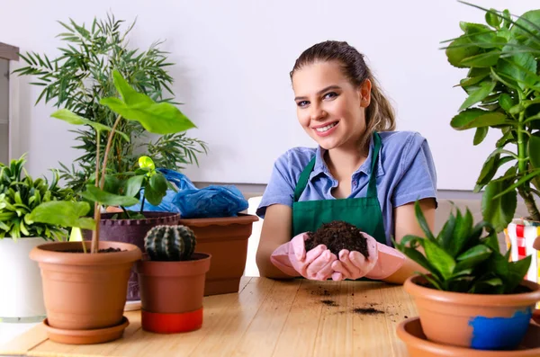 Ung kvinnelig gartner med planter innendørs – stockfoto