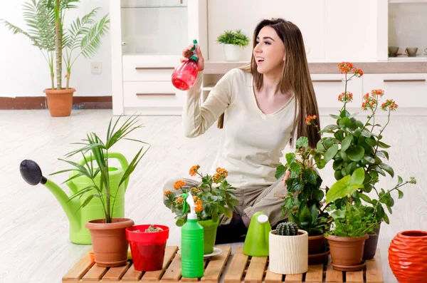 Junge Gärtnerin mit Pflanzen im Haus — Stockfoto