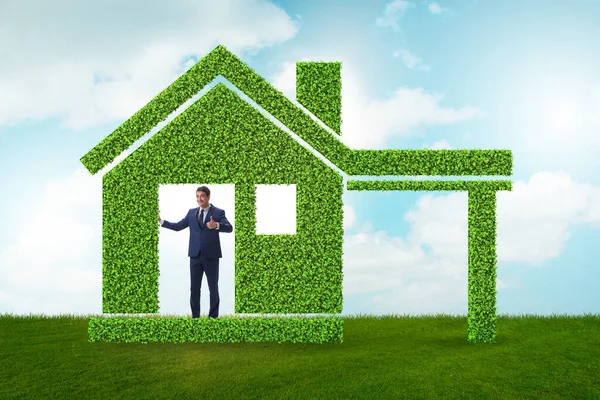 Businessman in green housing concept — Stock Photo, Image