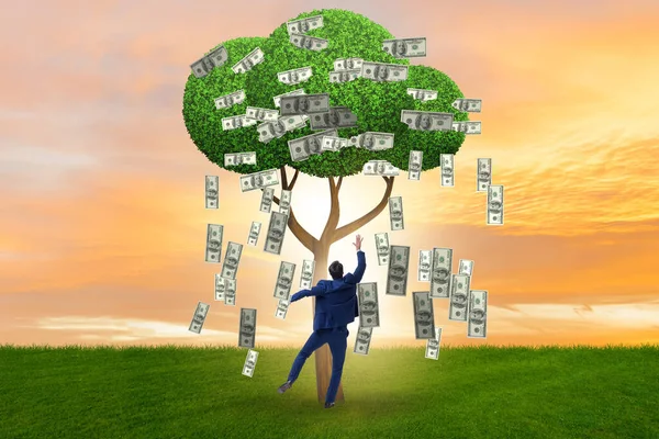 Бізнесмен з грошовим деревом у бізнес-концепції — стокове фото