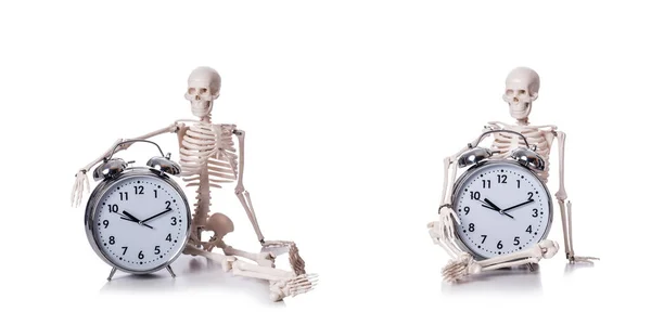 Esqueleto com despertador no branco — Fotografia de Stock