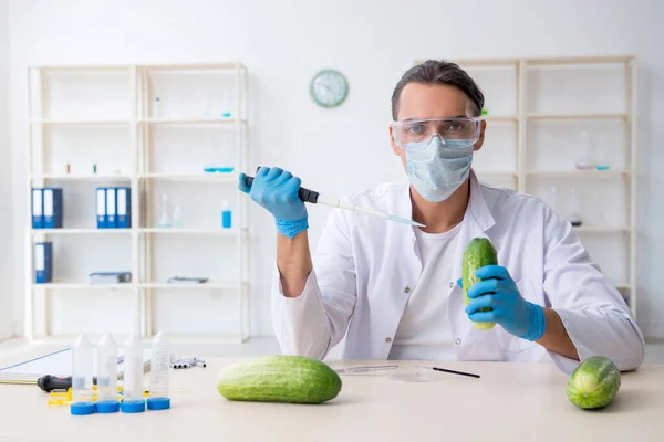 Mannelijke voeding expert testen van groenten in het lab — Stockfoto