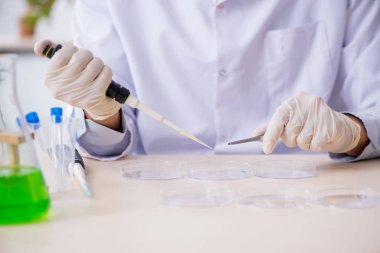 Laboratuvarda çalışan genç bir kimyager.