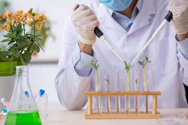 Mladý chemik pracující v laboratoři — Stock fotografie