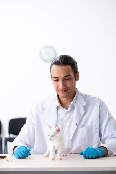 Jovem médico masculino examinando gato doente — Fotografia de Stock