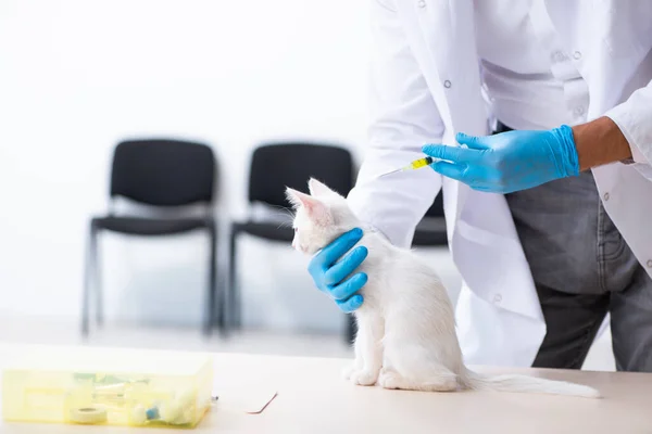 Jonge mannelijke arts onderzoekt zieke kat — Stockfoto
