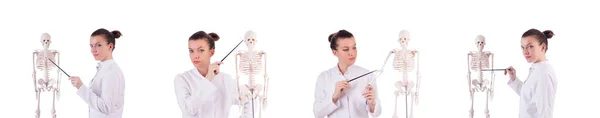 Doctor con esqueleto en blanco —  Fotos de Stock