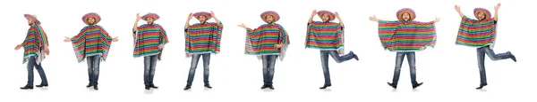 Divertente messicano isolato su bianco — Foto Stock