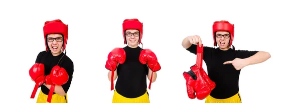 Boxeador divertido aislado en el fondo blanco — Foto de Stock