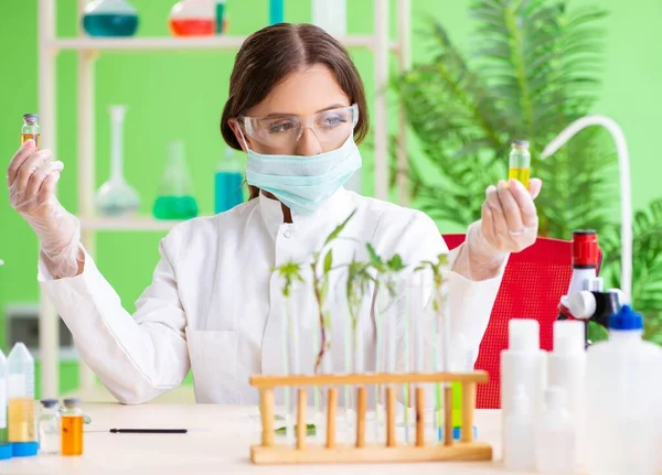 Hermosa mujer biotecnológica científica química trabajando en laboratorio —  Fotos de Stock