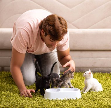 Genç adam evde kedi yavrusuyla oynuyor.