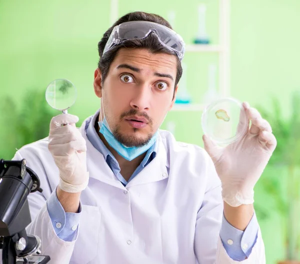 Homem químico que trabalha no laboratório — Fotografia de Stock