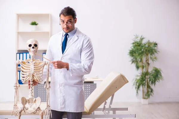 Ung mandlig læge med skelet - Stock-foto