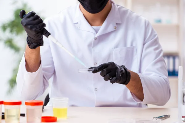 Jonge mannelijke chemicus werkzaam in het lab — Stockfoto