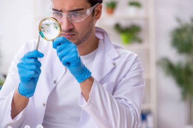 Laboratuvarda çalışan genç bir kimyager.