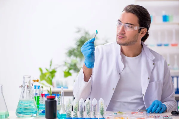 Ung manlig kemist som arbetar i labbet — Stockfoto