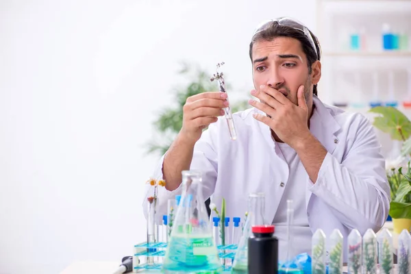 Jonge mannelijke chemicus werkzaam in het lab — Stockfoto