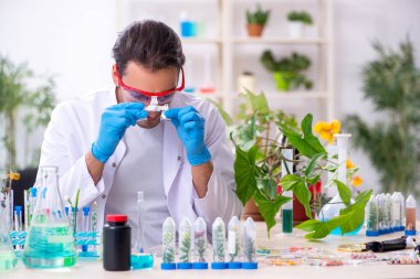 Laboratuvarda çalışan genç bir kimyager.