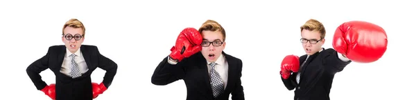 Молодий бізнесмен боксер ізольований на білому — стокове фото