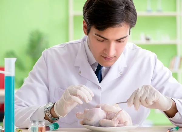 Assistente di laboratorio al test del pollo OGM — Foto Stock